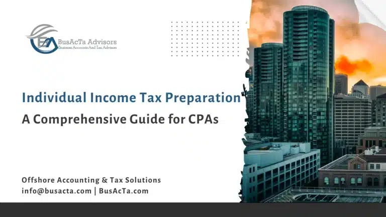 Personal personal tax return for CPAs